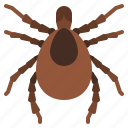 tick, bug, insect, animal, nature