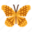 variegated, fritillary, butterfly, bug, insect, animal, nature 