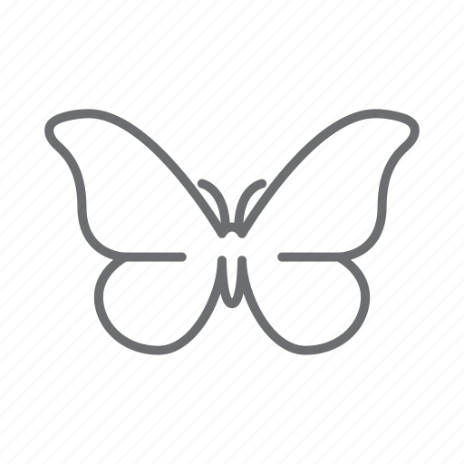 Butterfly, insect, bug, nature, ecology icon - Download on Iconfinder