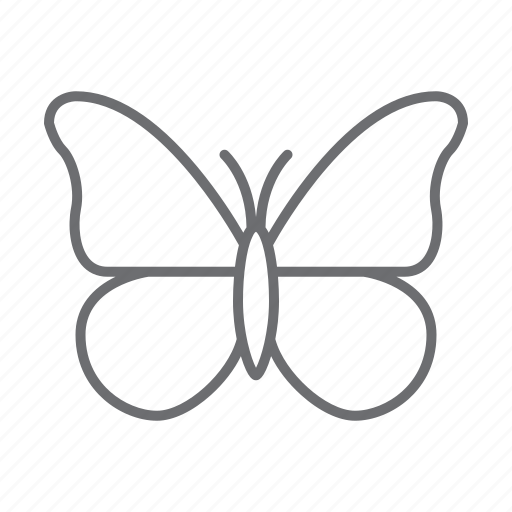 Butterfly, insect, bug, nature, ecology icon - Download on Iconfinder