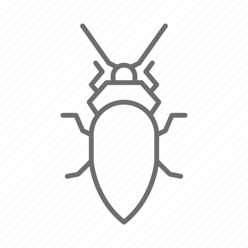 Beetle, animal, nature, bug, insect icon - Download on Iconfinder