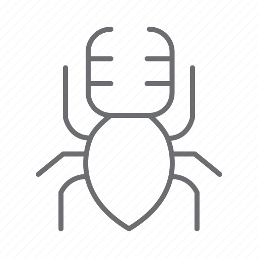 Beetle, insect, bug, nature, animal icon - Download on Iconfinder