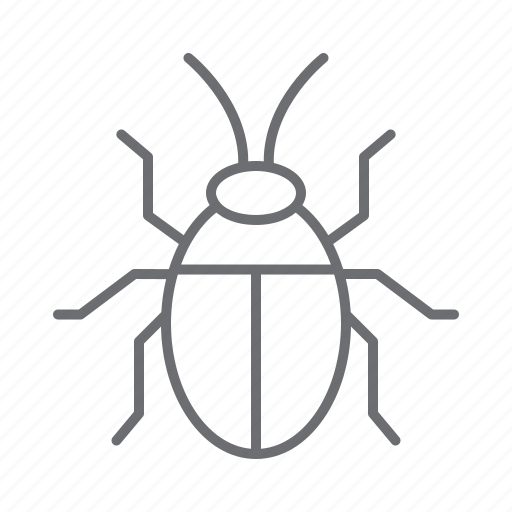 Cockroach, bug, insect, nature, animal icon - Download on Iconfinder