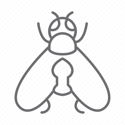 Fly, insect, bug, nature, ecology icon - Download on Iconfinder