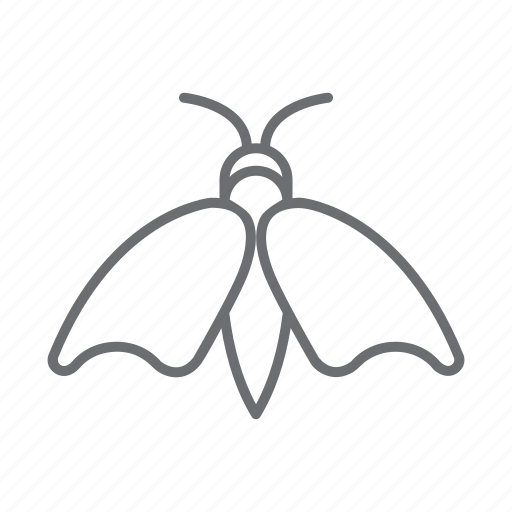 Insect, bug, nature, butterfly, animal icon - Download on Iconfinder
