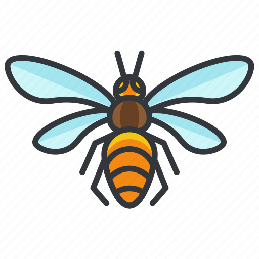 Bee, bug, insect, nature, wildlife icon - Download on Iconfinder