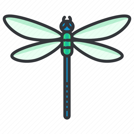 Beauty, bug, dragonfly, nature, wildlife icon - Download on Iconfinder