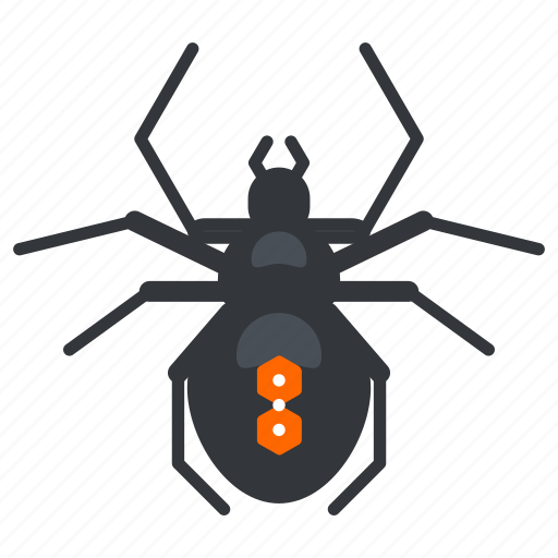 Bug, halloween, nature, spider, wildlife icon - Download on Iconfinder