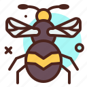 animal, arthropod, bee2, termite