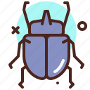 animal, arthropod, bug3, termite