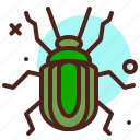 animal, arthropod, bug6, termite