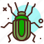 animal, arthropod, bug6, termite 