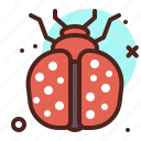 animal, arthropod, ladybug, termite