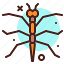 animal, arthropod, mosquito2, termite