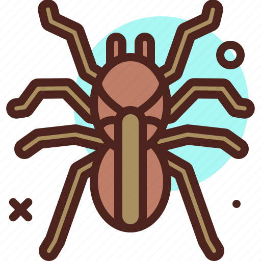 Animal, arthropod, tarantula, termite icon - Download on Iconfinder