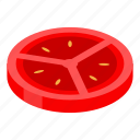 cartoon, food, fruit, isometric, slice, texture, tomato
