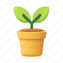 pot, leaf, green, grow, flower 