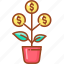 money, moneytree, plant, tree, flower 