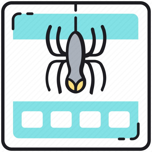 Webcrawler icon - Download on Iconfinder on Iconfinder