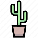 business, cactus, desert, financial, flower, plant
