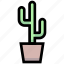 business, cactus, desert, financial, flower, plant 