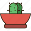 .svg, cactus, green, money, plant 