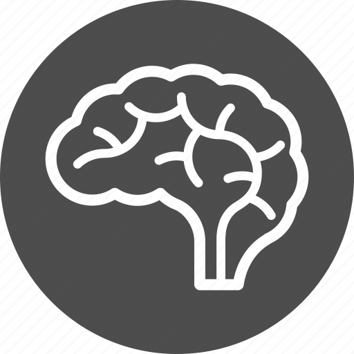 Brain, intellectual, mind, head, thinking icon - Download on Iconfinder