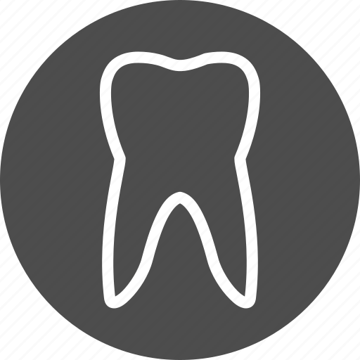 Stomatology, tooth, dental, dentist, teeth icon - Download on Iconfinder