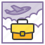 airplane, business, work, briefcase, travel, suitcase 