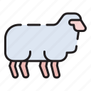 sheep, food, meat, animal, farm, mutton, ram, fur, lamb