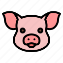 pig, head, meat, butcher, shop, pork, animal