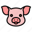 pig, head, meat, butcher, shop, pork, animal 