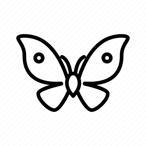Butterfly, contour, drawing, insect, silhouette, white icon - Download on Iconfinder