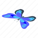 blue, butterfly, cartoon, floral, flower, isometric, spring