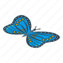 blue, butterfly, cartoon, isometric, logo, queen, summer