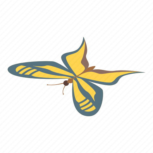 Butterfly, cartoon, fashion, flower, isometric, logo, tattoo icon - Download on Iconfinder