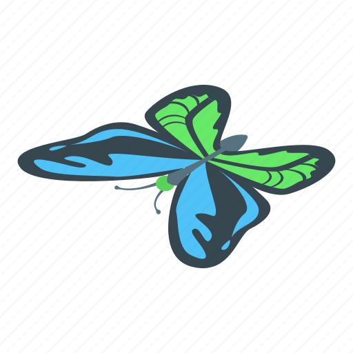 Blue, butterfly, cartoon, flower, green, isometric, wedding icon - Download on Iconfinder