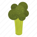 broccoli, cabbage, cartoon, food, isometric, logo, nature