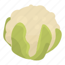 cabbage, cartoon, food, hand, isometric, texture, white