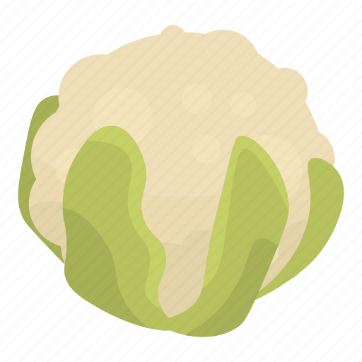 Cabbage, cartoon, food, hand, isometric, texture, white icon - Download on Iconfinder