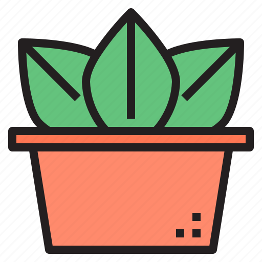 Cactus, cacti, flower, plant, tree icon - Download on Iconfinder
