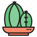 cactus, cacti, flower, plant, tree