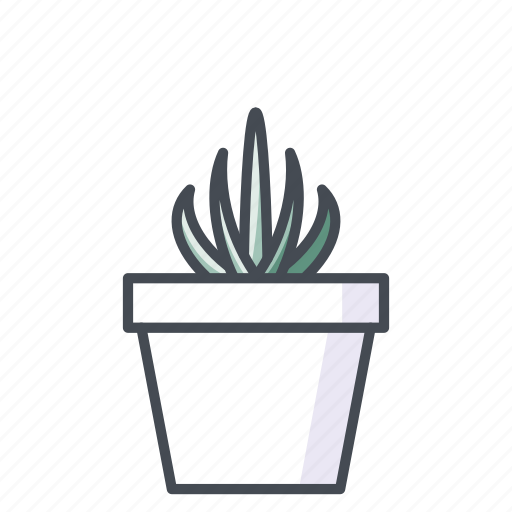 Cactus, plant, potted plant, prickly, vegetal icon - Download on Iconfinder
