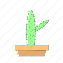 cactus, nature, pot