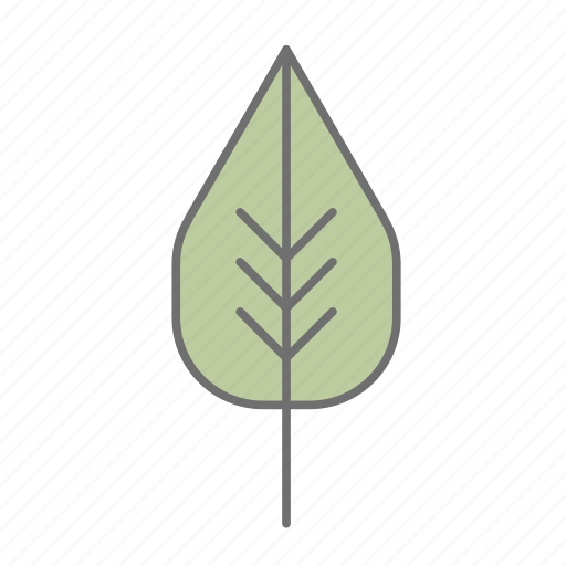 Camp, camping, cs6, leaf, leaves, multicolor, nature icon - Download on Iconfinder