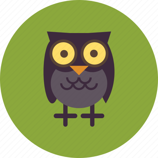 Animal, camping, cute, eyes, owl, travel, wild icon - Download on Iconfinder