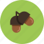 acorn, animal, camping, food, forrest, squirel 