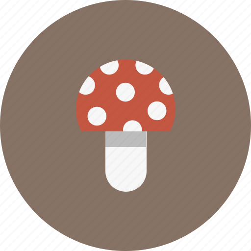 Camping, dinner, eat, food, forest, mushroom, plant icon - Download on Iconfinder