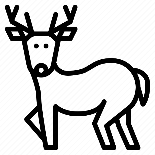 Deer, animal, nature, ourdoor icon - Download on Iconfinder