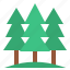 pine, trees, forest, nature, camping 